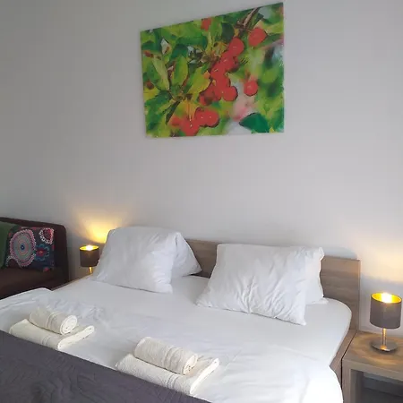 Ceresnovy Sad & Wellness Guest house